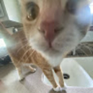 Meet your Posher, Kiley